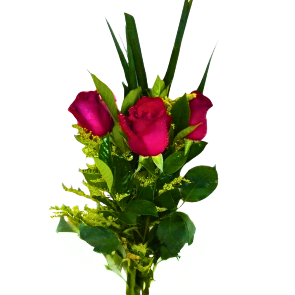 Buqu 3 Rosas - Carinhoso