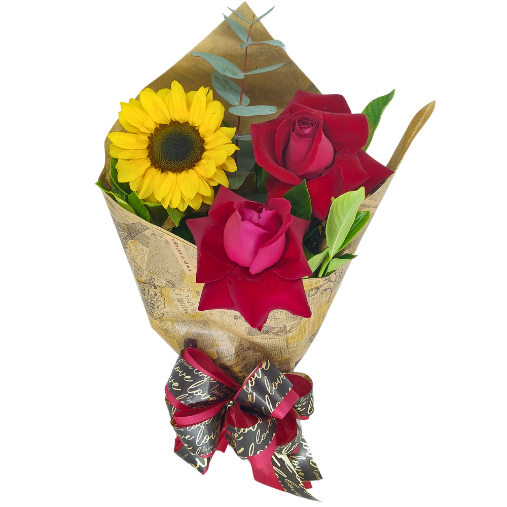 Rosas e Sol