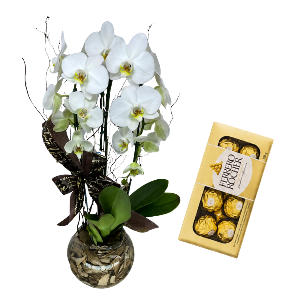 Combo � Chocolate com Orqu�dea Branca