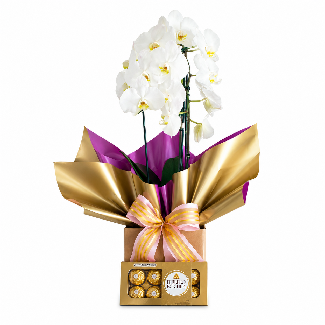 Encanto das Orqu�deas